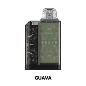 JellyBox 5000 คำ รสฝรั่ง