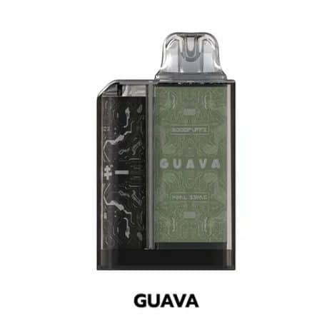 Jellybox-5000คำ-รสฝรั่ง Jellybox-5000คำ-รสฝรั่ง