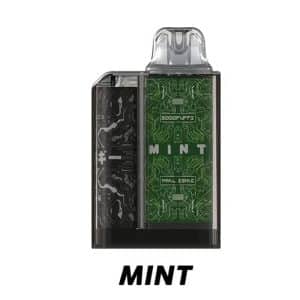 JellyBox 5000 คำ รสมินท์