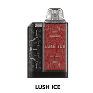 JellyBox 5000 คำ รสแตงโม