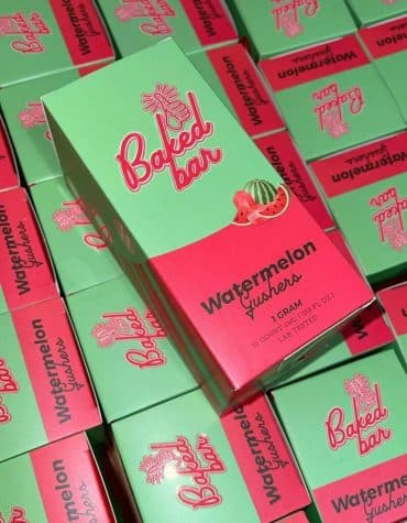 watermelone-grushers watermelone-grushers