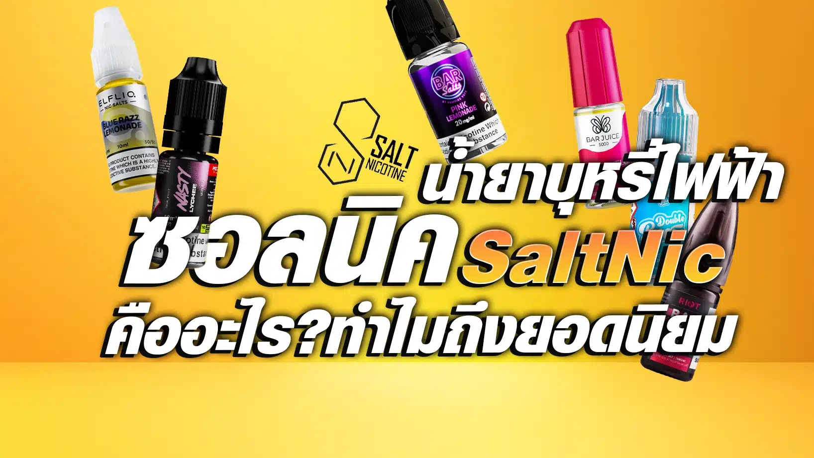 ซอลนิคคือ