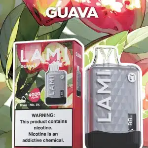 LAMI ฝรั่ง - 9000 Puffs