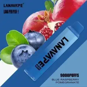 Lanna Vape บลูเบอร์รี่ - 9000 Puffs